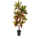 Traditional Croton Artificial Plant 50