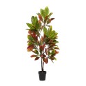 Traditional Croton Artificial Plant 50