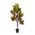 Traditional Croton Artificial Plant 50