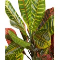 Traditional Croton Artificial Plant 50