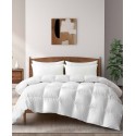 Medium Weight Extra Soft Goose Feather Fiber Comforter Twin