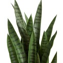 38-In. Sansevieria Artificial Plant