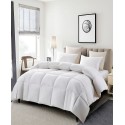 White Goose Feather & Down Fiber Light Warmth Comforter Twin