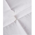 White Goose Feather & Down 240 Thread Count Comforter Twin