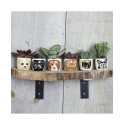 Cat Planter Pot - 6 Mini Succulent Pots - Cute Flower Pots for Indoor Plants - Cat Decor Vase for Cactus- CatCat Owner GiftsGiftsGift SetCat Gift