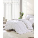 All Season Warmth White Goose Feather and Down Fiber Comforter Twin