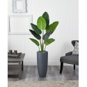 5.5' Traveler's Palm Artificial Tree in Planter