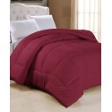 All Season Extra Soft Down Alternative  Twin Bedding Comforter