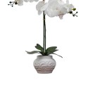 Desktop Artificial Orchid Arrangement in Ceramic22