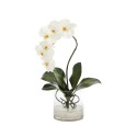 Phalaenopsis Orchid Artificial Arrangement in Glass Vase