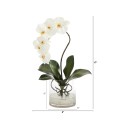 Phalaenopsis Orchid Artificial Arrangement in Glass Vase