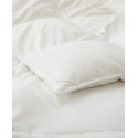 All Season 360 Thread Count Extra Soft Goose Down and Feather Fiber Comforter Twin