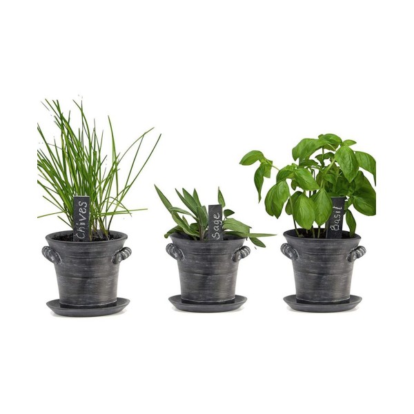 Growing - Grow an Indoor GardenKitchen Windowsill - Non GMO SeedsFresh Organic Chives- Rustic Set of Planters with Fiber Soil - Herbs Growing Starter Set