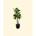 Artificial Fiddle Tree in Wooden Pot48