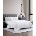 Light Warmth Silk Filled Comforter Twin