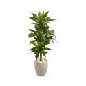 4' Dracaena Artificial Plant in Sand Colored Planter - Real Touch