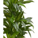 4' Dracaena Artificial Plant in Sand Colored Planter - Real Touch