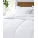 Oake Count Down Alternative Comforter Twin