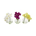 9'' Phalaenopsis Orchid Artificial Arrangement in Glass VaseSet of 3