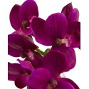 9'' Phalaenopsis Orchid Artificial Arrangement in Glass VaseSet of 3