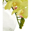 9'' Phalaenopsis Orchid Artificial Arrangement in Glass VaseSet of 3